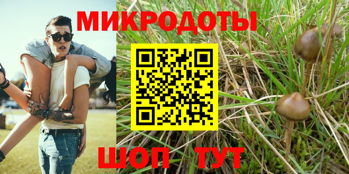 Галлюциногенные грибы MAGIC MUSHROOMS Красный Сулин
